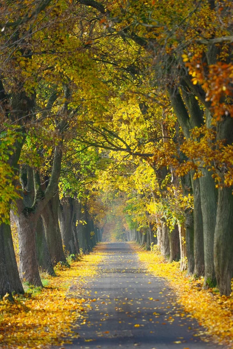 Poland